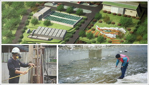 Environment: Environmental Protection Engineering